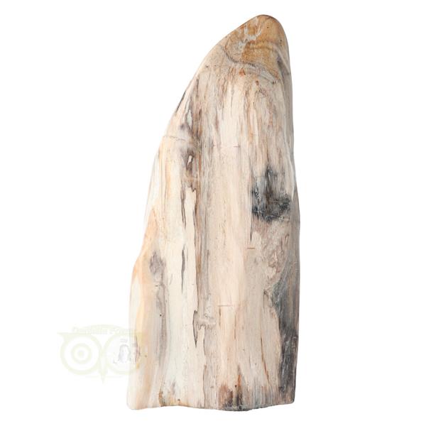 Grote foto versteend hout sculptuur nr 54 4595 gram verzamelen overige verzamelingen