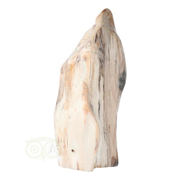 Grote foto versteend hout sculptuur nr 54 4595 gram verzamelen overige verzamelingen