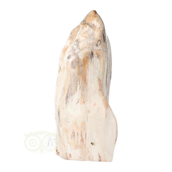 Grote foto versteend hout sculptuur nr 54 4595 gram verzamelen overige verzamelingen