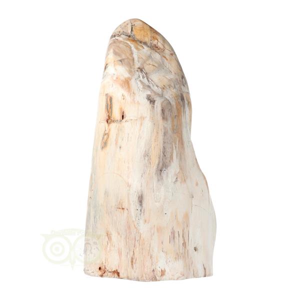 Grote foto versteend hout sculptuur nr 54 4595 gram verzamelen overige verzamelingen