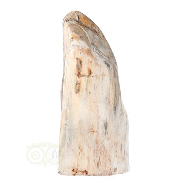 Grote foto versteend hout sculptuur nr 54 4595 gram verzamelen overige verzamelingen