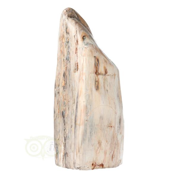 Grote foto versteend hout sculptuur nr 54 4595 gram verzamelen overige verzamelingen