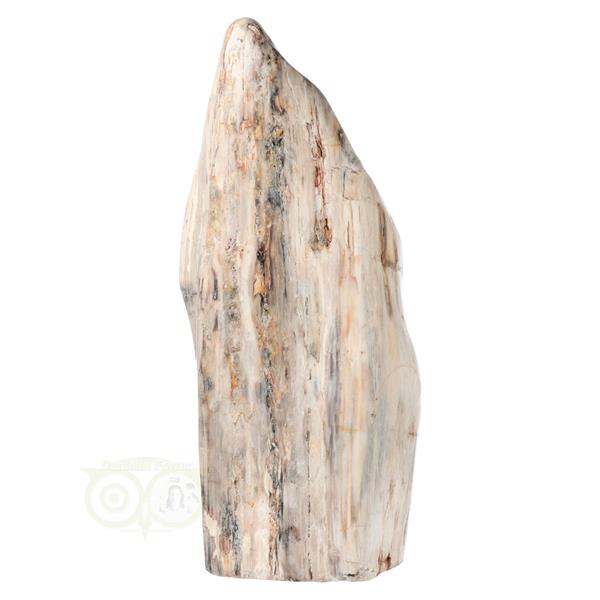 Grote foto versteend hout sculptuur nr 54 4595 gram verzamelen overige verzamelingen