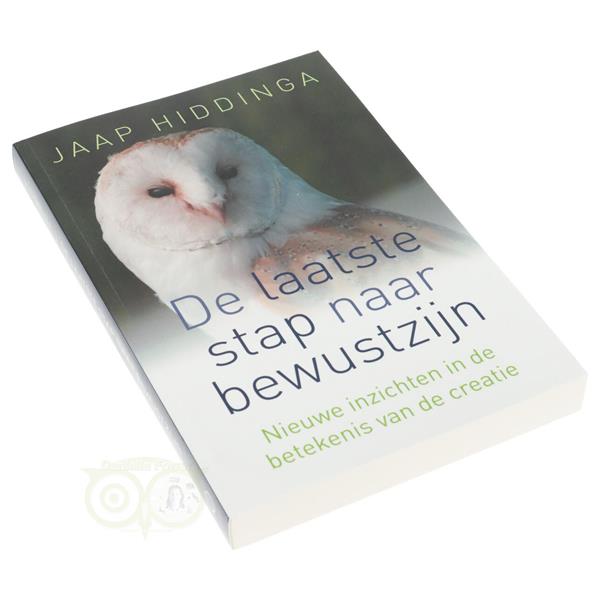 Grote foto de laatste stap naar bewustzijn jaap hiddinga boeken overige boeken