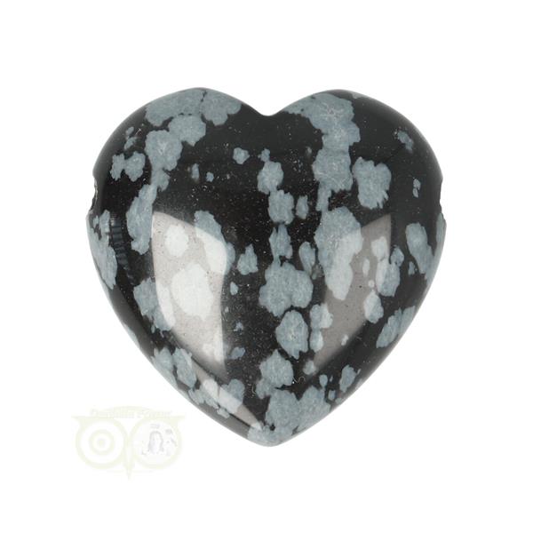 Grote foto sneeuwvlok obsidiaan doorboorde hart hanger 3 cm nr 18 verzamelen overige verzamelingen