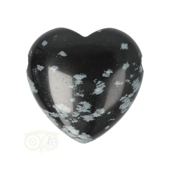 Grote foto sneeuwvlok obsidiaan doorboorde hart hanger 3 cm nr 17 verzamelen overige verzamelingen