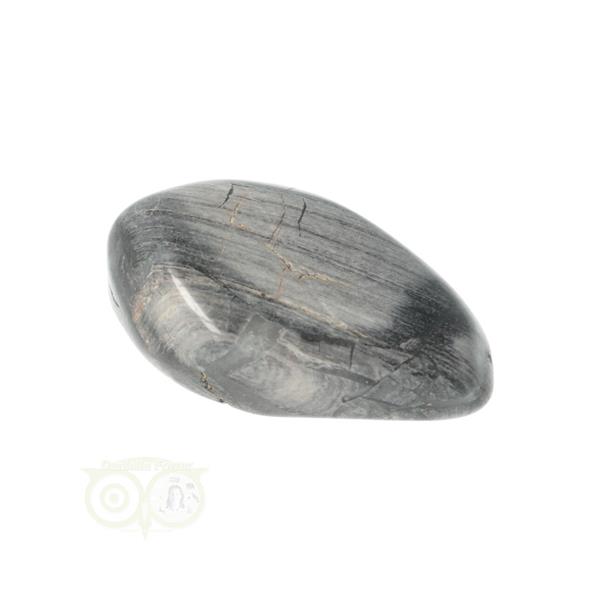 Grote foto jaspis zilverblad silverleaf jasper trommelsteen nr 12 verzamelen overige verzamelingen