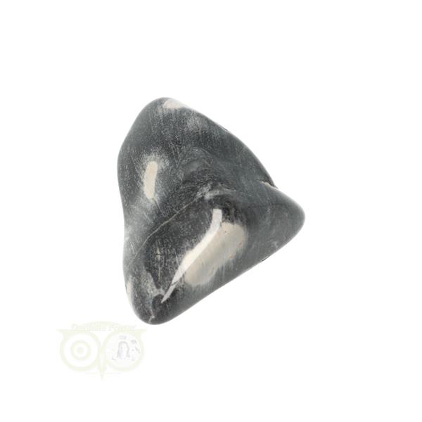Grote foto jaspis zilverblad silverleaf jasper trommelsteen nr 9 verzamelen overige verzamelingen