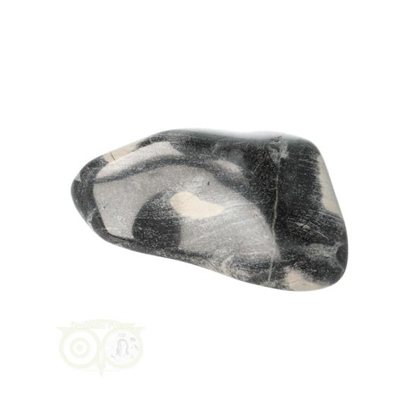 Grote foto jaspis zilverblad silverleaf jasper trommelsteen nr 9 verzamelen overige verzamelingen