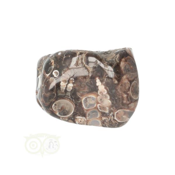Grote foto turitella agaat trommelsteen nr 43 30 gram verzamelen overige verzamelingen