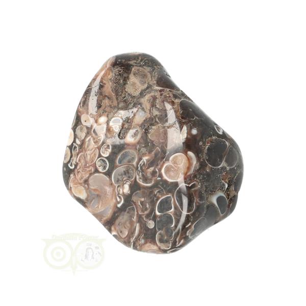 Grote foto turitella agaat trommelsteen nr 43 30 gram verzamelen overige verzamelingen