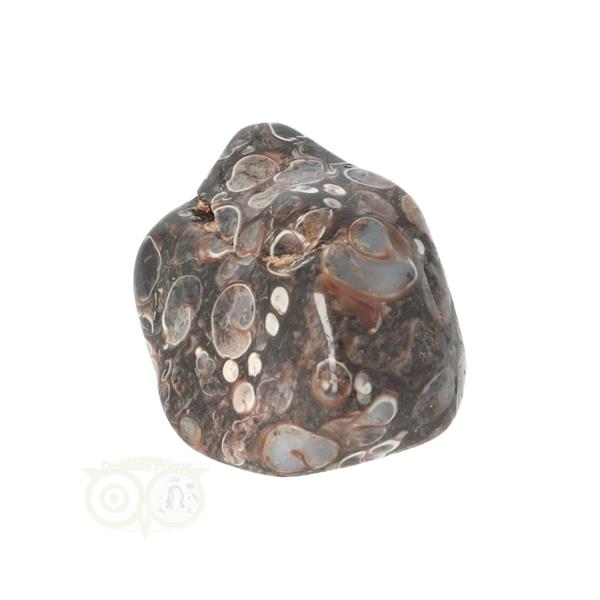 Grote foto turitella agaat trommelsteen nr 42 28 gram verzamelen overige verzamelingen