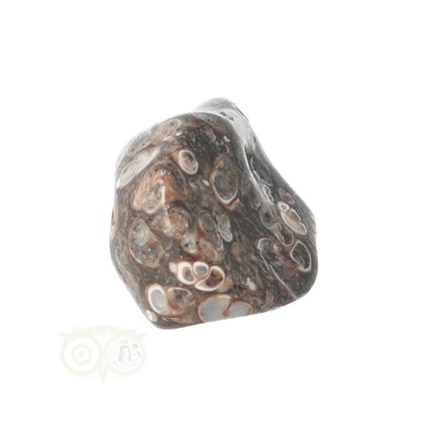 Grote foto turitella agaat trommelsteen nr 42 28 gram verzamelen overige verzamelingen