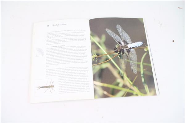 Grote foto vliegen vissen en kunstvliegen paul blokdijk boek sport en fitness vissport