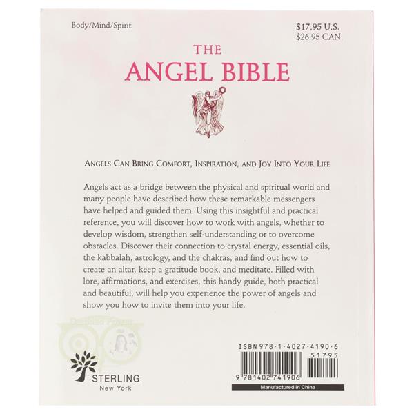 Grote foto the angel bible hazel raven boeken overige boeken