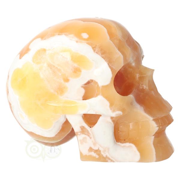 Grote foto oranje calciet schedel nr 270 1759 gram verzamelen overige verzamelingen