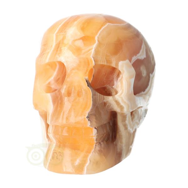 Grote foto oranje calciet schedel nr 270 1759 gram verzamelen overige verzamelingen