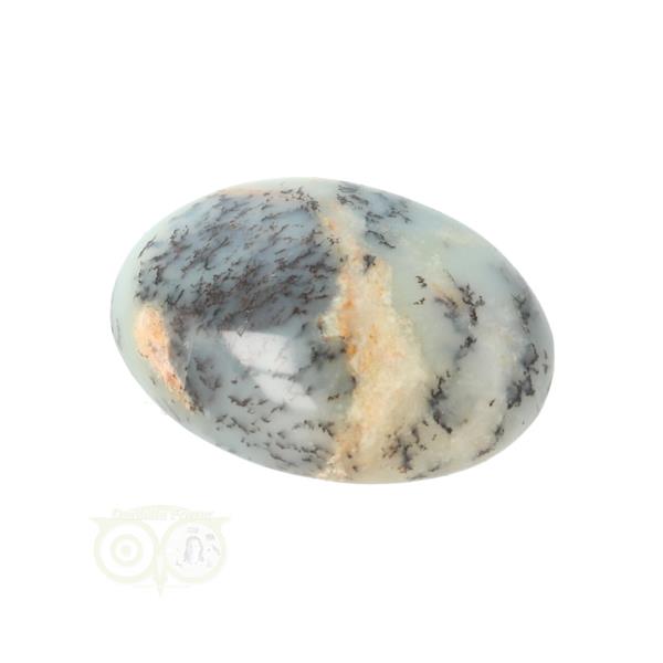 Grote foto dendriet opaal agaat handsteen small nr 31 21 gram verzamelen overige verzamelingen