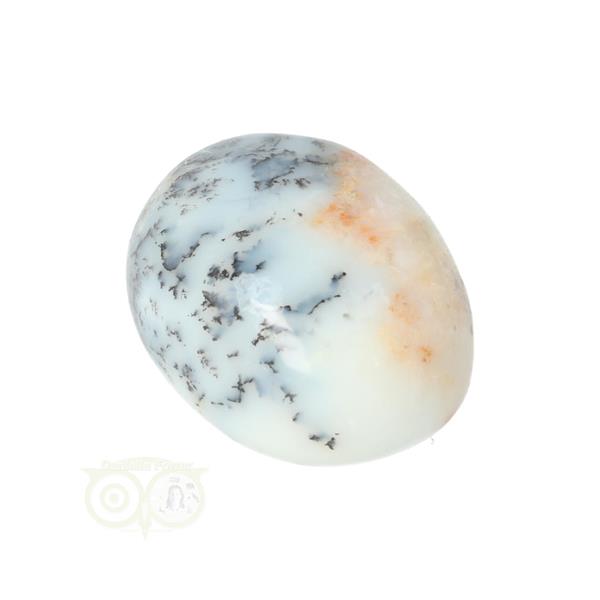 Grote foto dendriet opaal agaat handsteen small nr 29 21 gram verzamelen overige verzamelingen