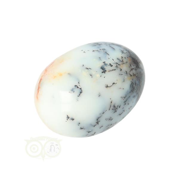 Grote foto dendriet opaal agaat handsteen small nr 29 21 gram verzamelen overige verzamelingen