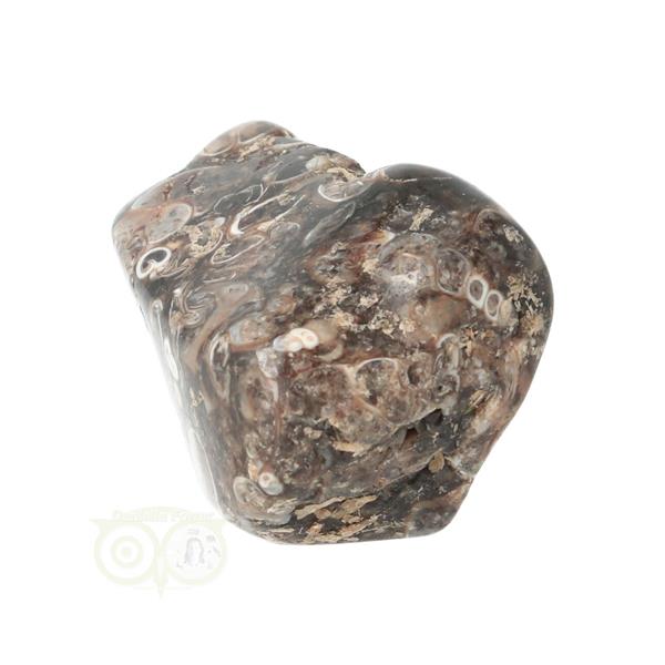 Grote foto turitella agaat trommelsteen nr 39 21 gram verzamelen overige verzamelingen