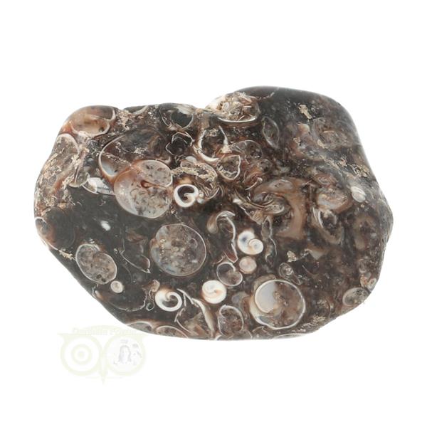 Grote foto turitella agaat trommelsteen nr 39 21 gram verzamelen overige verzamelingen