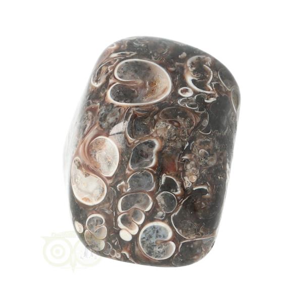 Grote foto turitella agaat trommelsteen nr 37 29 gram verzamelen overige verzamelingen