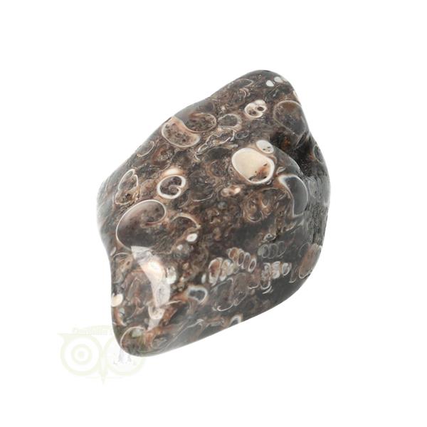 Grote foto turitella agaat trommelsteen nr 35 30 gram verzamelen overige verzamelingen