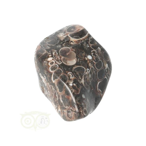 Grote foto turitella agaat trommelsteen nr 35 30 gram verzamelen overige verzamelingen