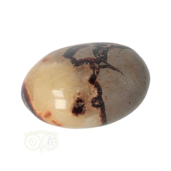 Grote foto septarie handsteen groot nr 22 77 gram madagaskar verzamelen overige verzamelingen