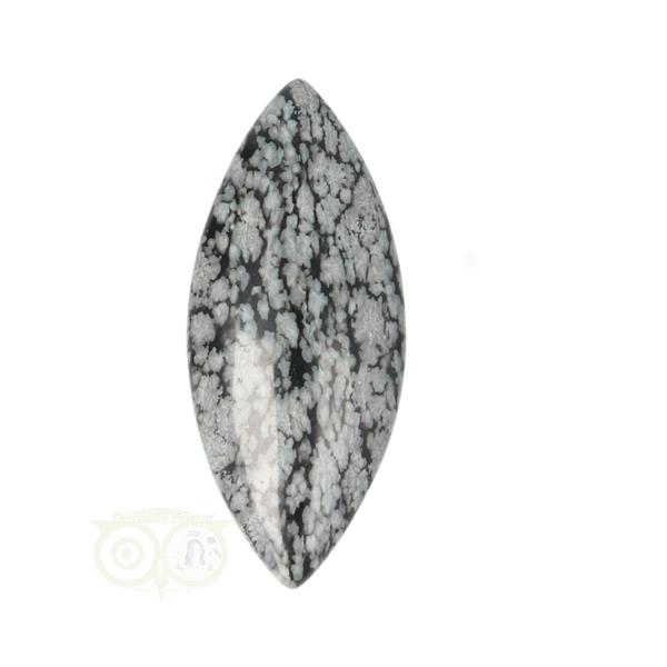 Grote foto sneeuwvlok obsidiaan ovaal edelsteen hanger nr 12 verzamelen overige verzamelingen