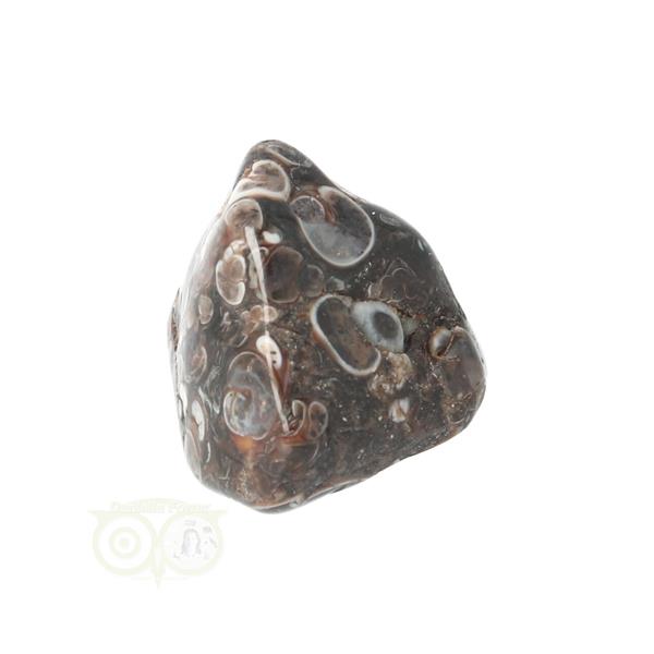 Grote foto turitella agaat trommelsteen nr 33 17 gram verzamelen overige verzamelingen