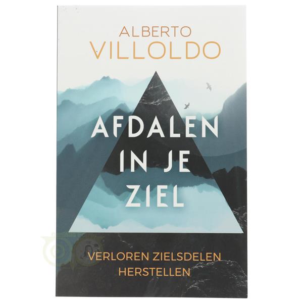 Grote foto afdalen in je ziel alberto villoldo boeken overige boeken