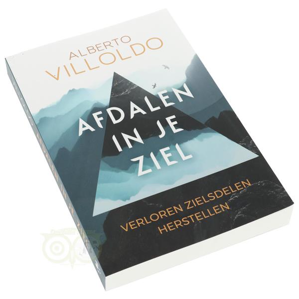 Grote foto afdalen in je ziel alberto villoldo boeken overige boeken