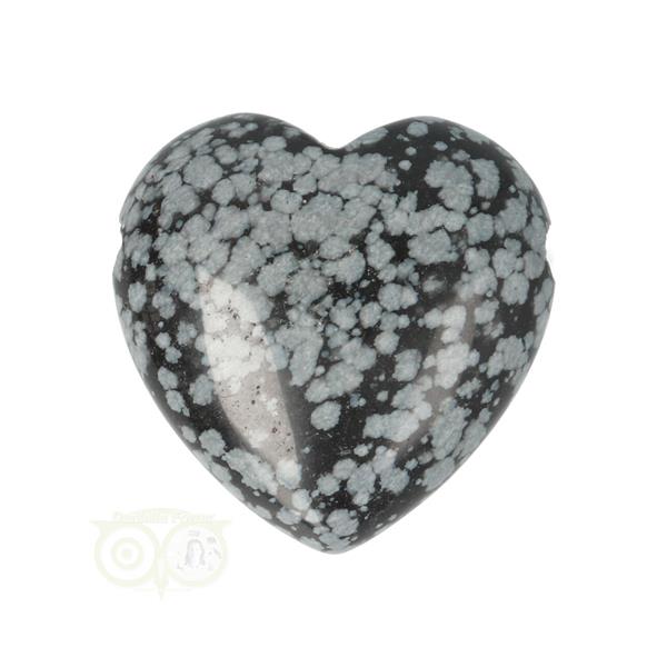 Grote foto sneeuwvlok obsidiaan doorboorde hart hanger 3 cm nr 12 verzamelen overige verzamelingen