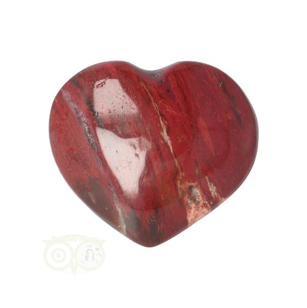 Grote foto versteend hout hart 3 cm nr 53 17 gram madagaskar verzamelen overige verzamelingen
