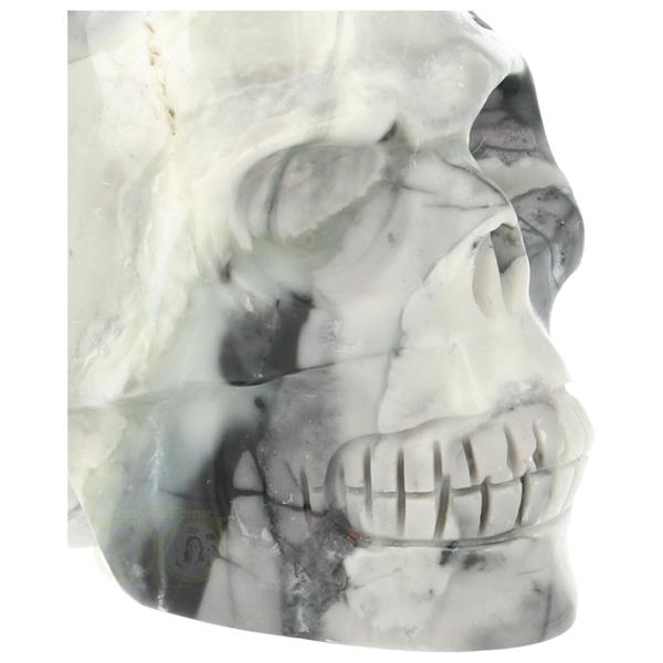 Grote foto picasso jaspis schedel nr 9 106 gram verzamelen overige verzamelingen
