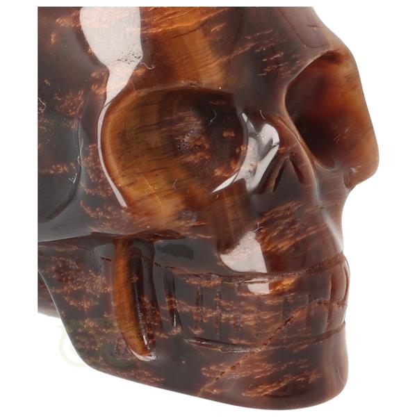 Grote foto tijgeroog schedel nr 10 99 gram verzamelen overige verzamelingen
