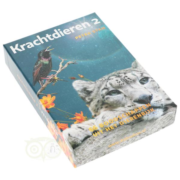 Grote foto krachtdieren kaarten 2 petra stam boeken overige boeken