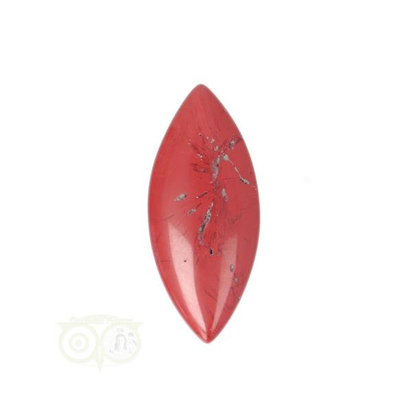 Grote foto rode jaspis ovaal hanger nr 12 11 gram sieraden tassen en uiterlijk bedels en hangers