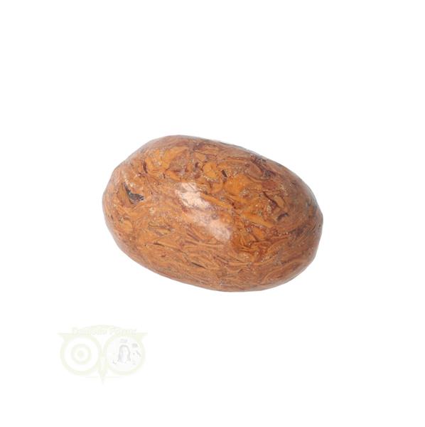 Grote foto coquina jaspis trommelsteen nr 5 26 gram verzamelen overige verzamelingen