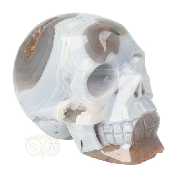 Grote foto agaat kristallen schedel 1023 gram verzamelen overige verzamelingen