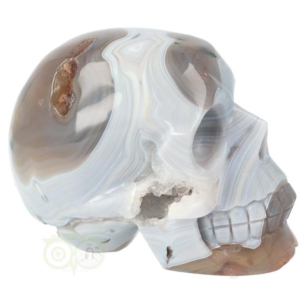 Grote foto agaat kristallen schedel 1023 gram verzamelen overige verzamelingen