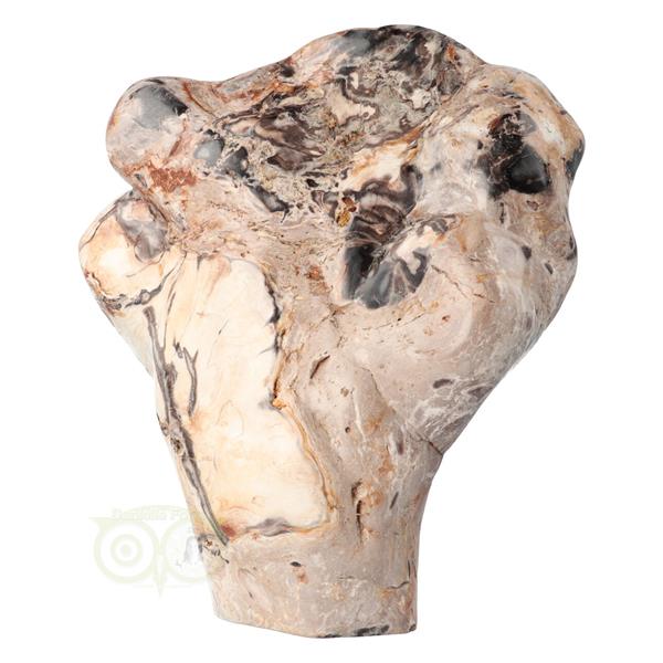 Grote foto versteend hout sculptuur nr 51 3867 gram verzamelen overige verzamelingen