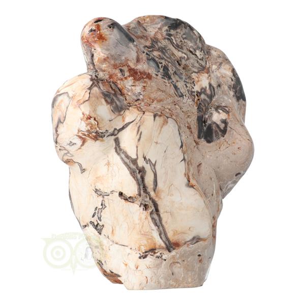 Grote foto versteend hout sculptuur nr 51 3867 gram verzamelen overige verzamelingen