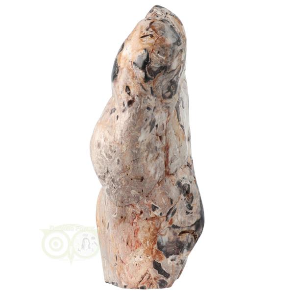 Grote foto versteend hout sculptuur nr 51 3867 gram verzamelen overige verzamelingen