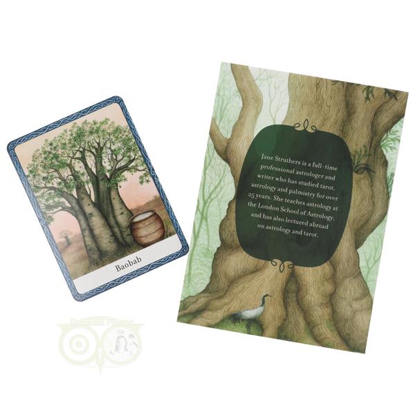 Grote foto the wisdom of trees oracle jane struthers engelstalig boeken overige boeken