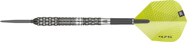 Grote foto target 975 02 97 5 swiss 975 02 97 5 swiss 25 gram sport en fitness darts