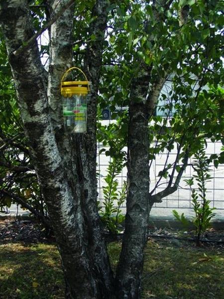 Grote foto flybuster garden trap incl. bait dieren en toebehoren overige