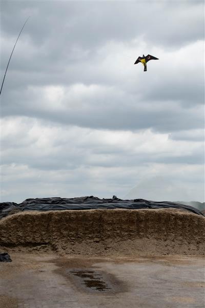 Grote foto knock off vogel verschrikker vlieger complete set 7 meter dieren en toebehoren overige